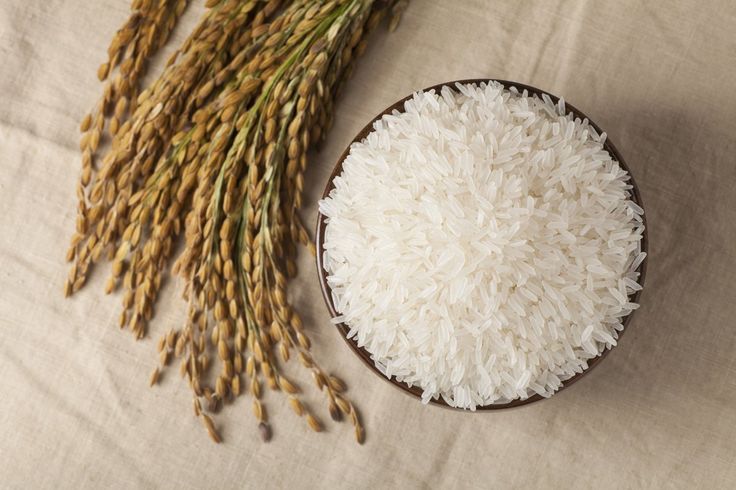 Iranian Rice Wholesale Market Trends & Global Demand Forecast